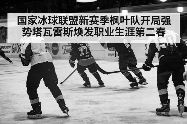 国家冰球联盟新赛季枫叶队开局强势塔瓦雷斯焕发职业生涯第二春